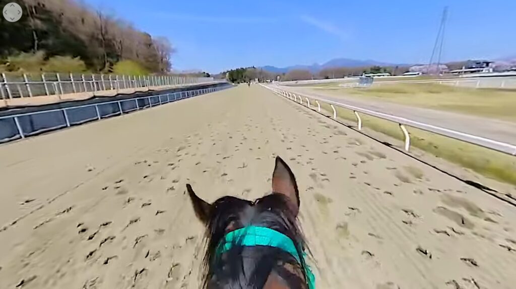 地方競馬教養センター 360°VR体験ツアー