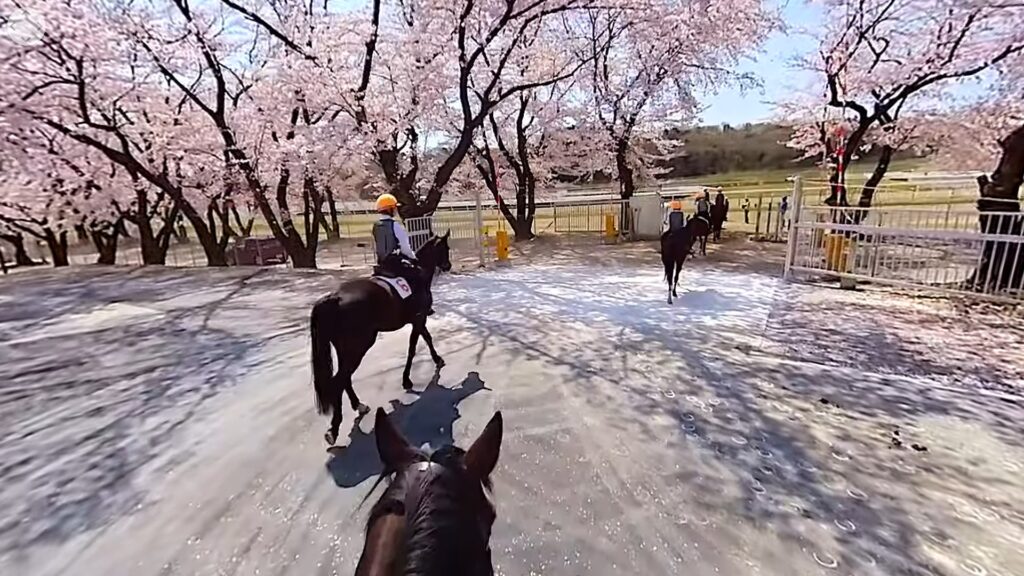 地方競馬教養センター 360°VR体験ツアー